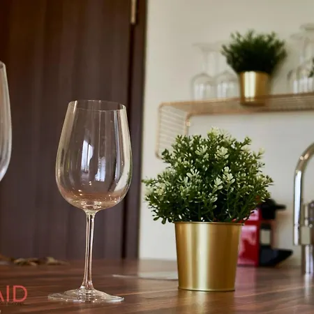 Silver Apartman - Hostaid Hotel *